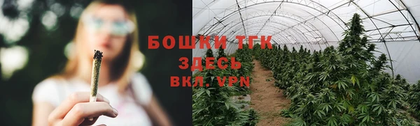 спайс Мегион
