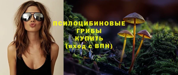 спайс Мегион