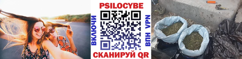 Галлюциногенные грибы Cubensis Гагарин