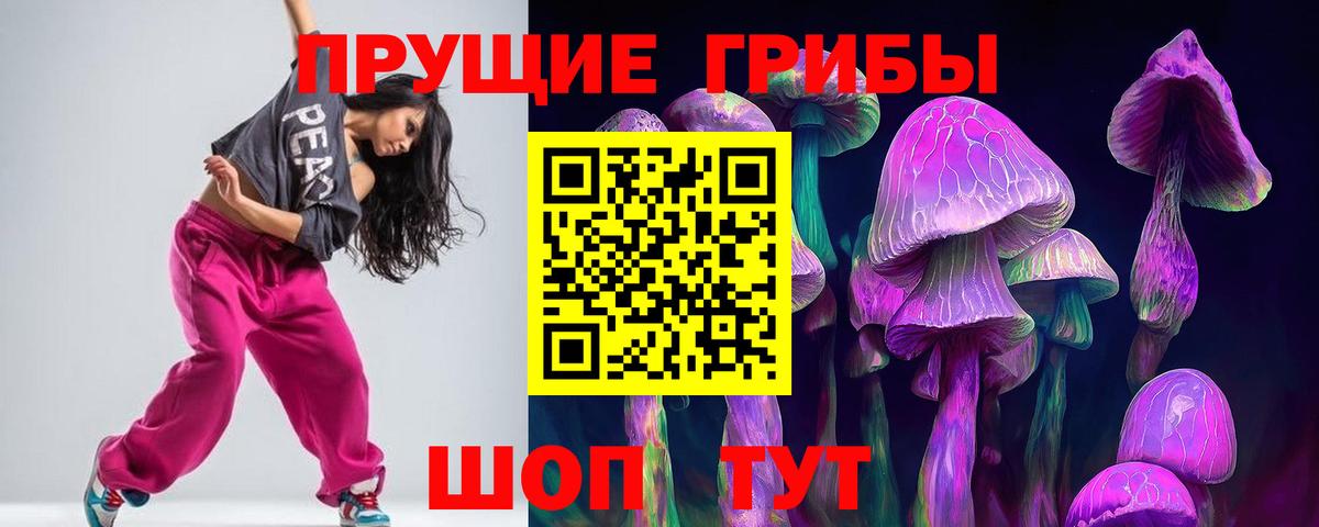 Псилоцибиновые грибы прущие грибы  даркнет сайт  Гагарин  Вход с VPN 